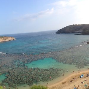 Meet your Posher, Kade